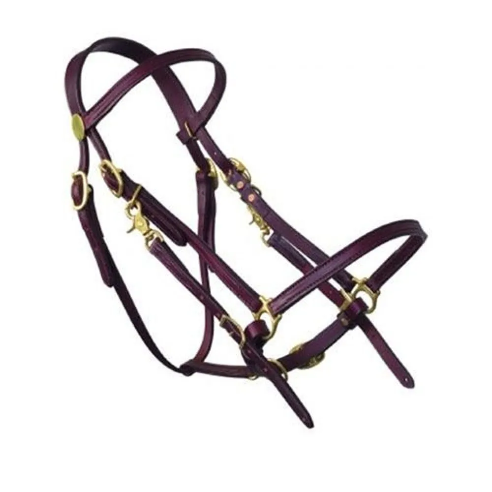 0109-0201 Tucker Halter Bridle Lite Cob Size Brown Brass