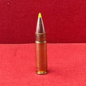 .300 BLK INERT Round