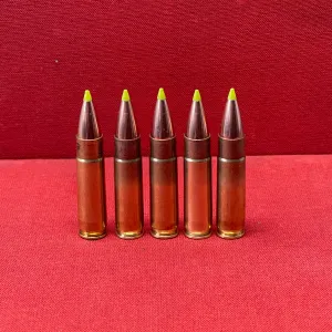 5 x .300 BLK INERT Round