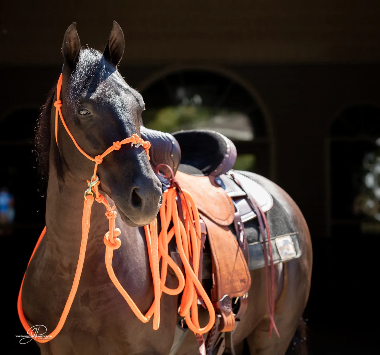 Buy 1 Get 1 FREE Halter Set Grab Bags!!