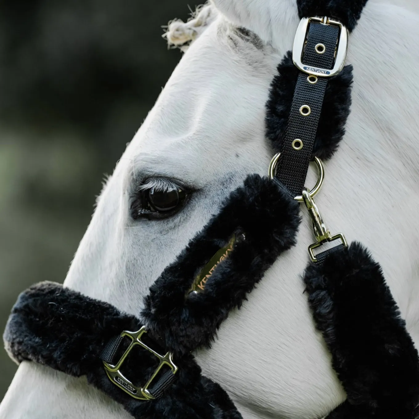 Kentucky Horsewear Sheepskin Headcollar - Black