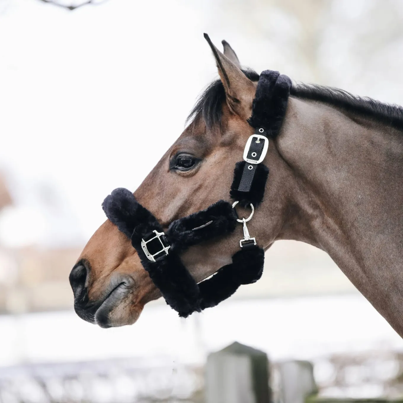 Kentucky Horsewear Sheepskin Headcollar - Black