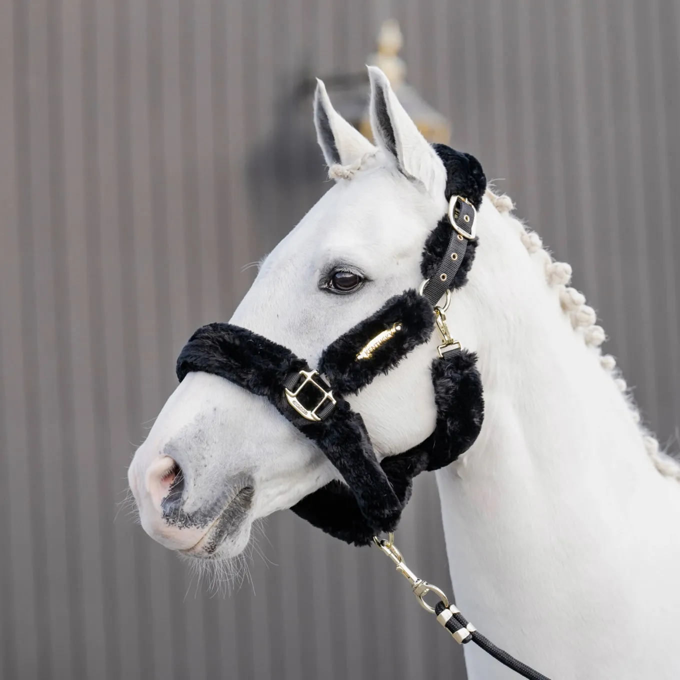 Kentucky Horsewear Sheepskin Headcollar - Black