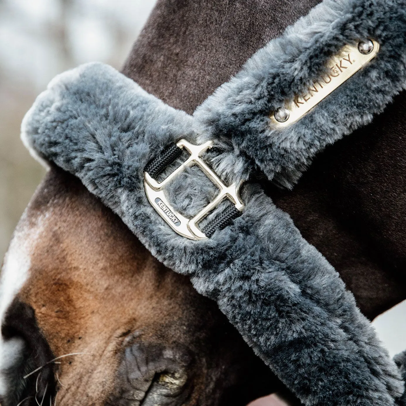 Kentucky Horsewear Sheepskin Headcollar - Grey