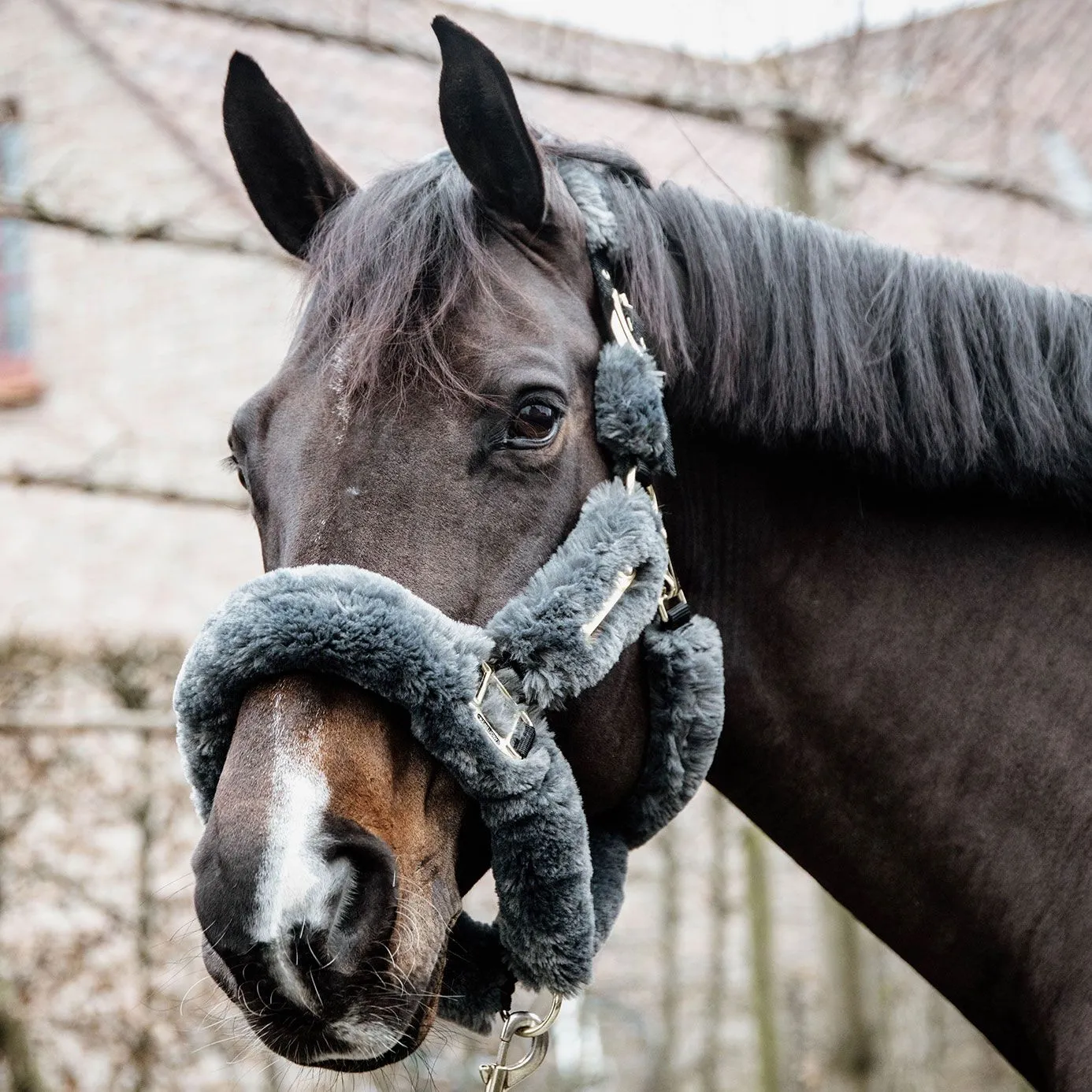 Kentucky Horsewear Sheepskin Headcollar - Grey