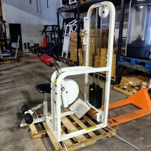 Maxicam Ab/Back Combo Machine