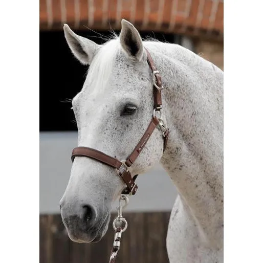 Premier Equine Plain Padded Headcollar