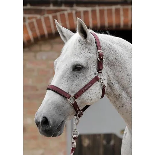 Premier Equine Plain Padded Headcollar