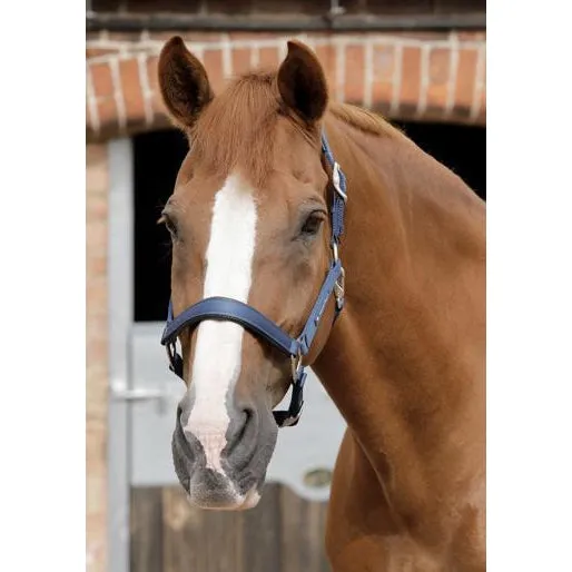 Premier Equine Plain Padded Headcollar