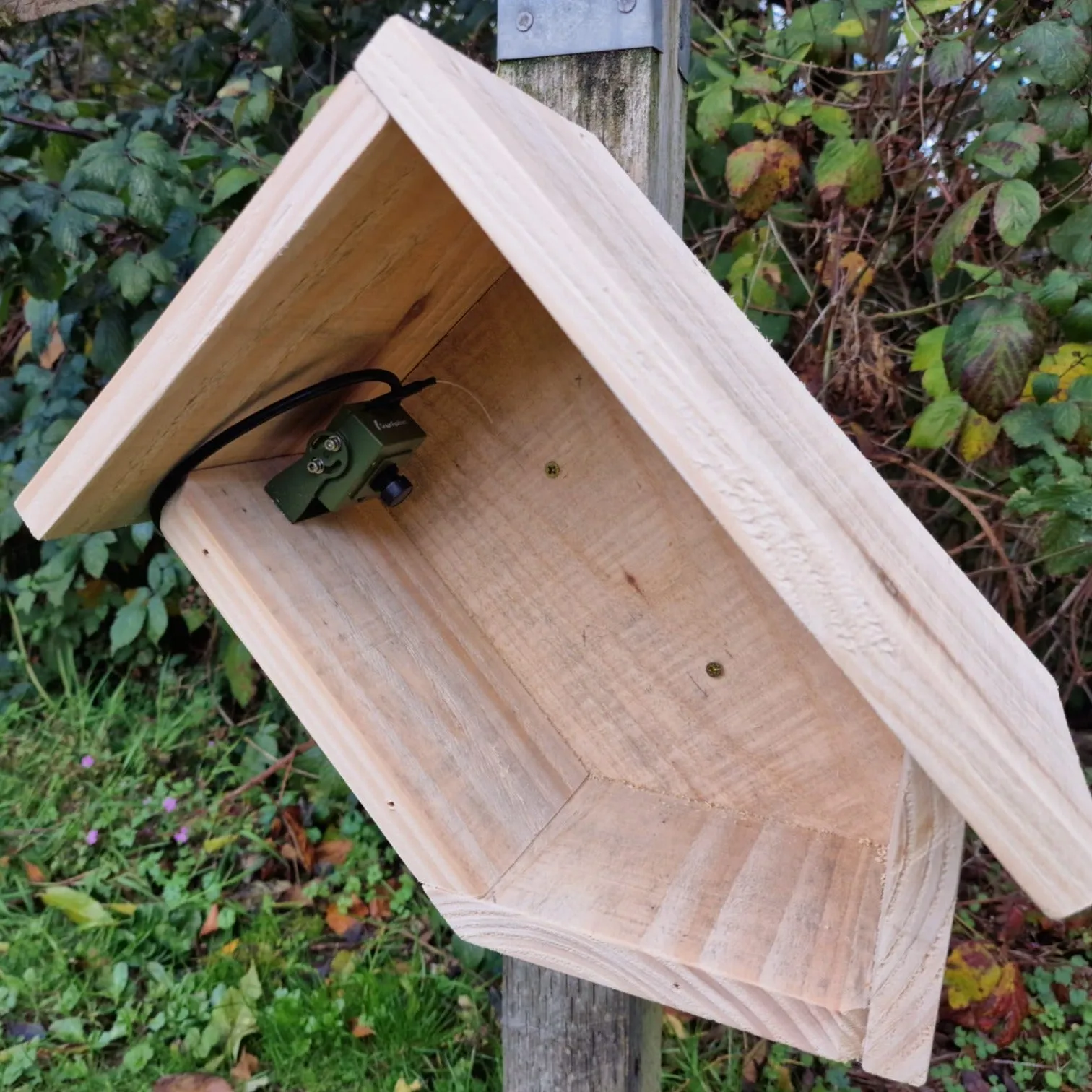 Slanted Wild Bird Blue Tit Camera Box