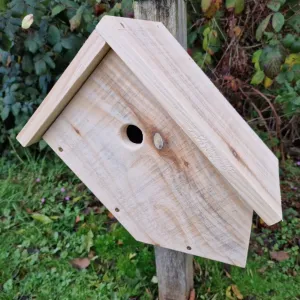 Slanted Wild Bird Blue Tit Camera Box