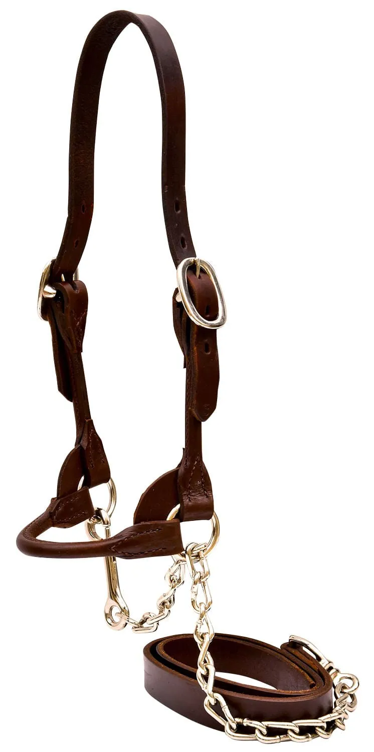 Weaver Leather Classic Rounded Cattle Show Halter, Small