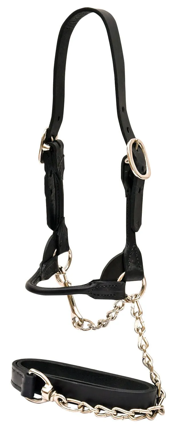 Weaver Leather Classic Rounded Cattle Show Halter, Small